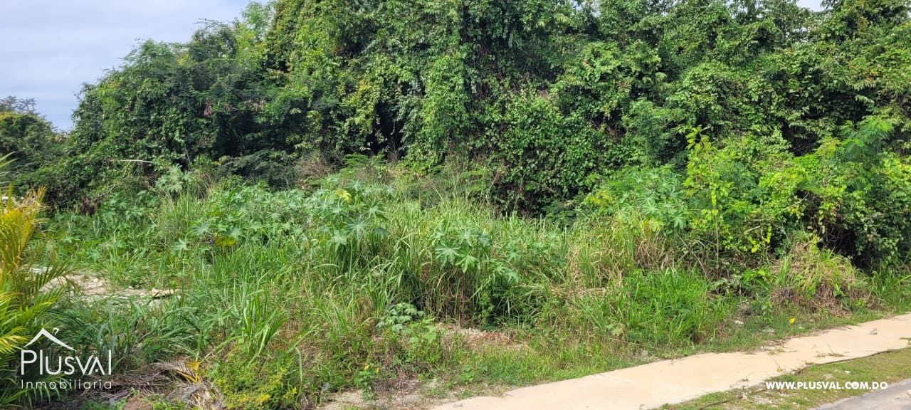 Solar en venta en Playa Nueva Romana 486753