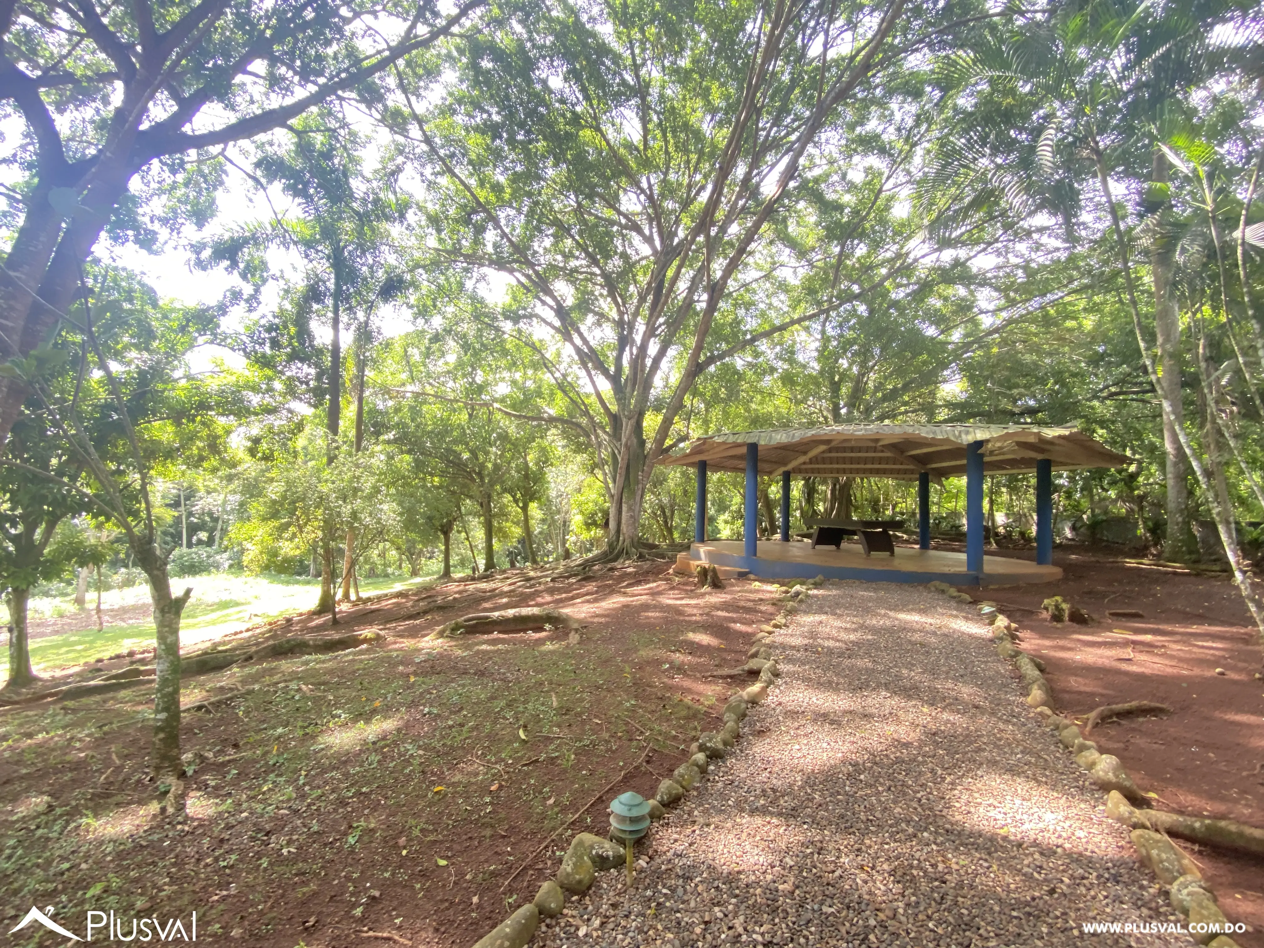 Finca de 106 tareas en Venta, Los Cocos | Pedro Brand 452042