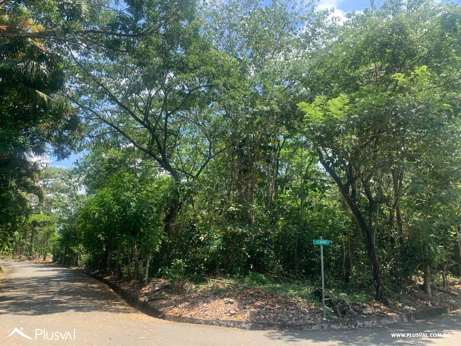 Venta de finca totalmente llana en San Cristóbal. 466613
