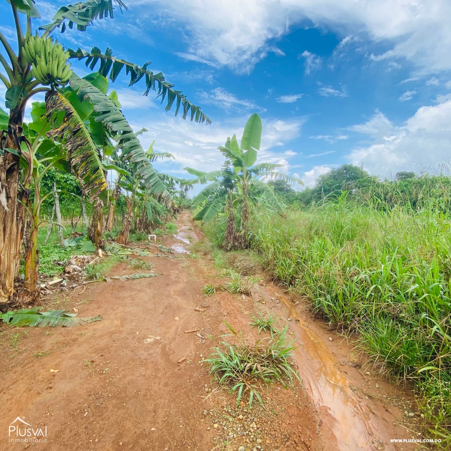 Venta de Finca Agrícola y Minera en Cotuí 232848