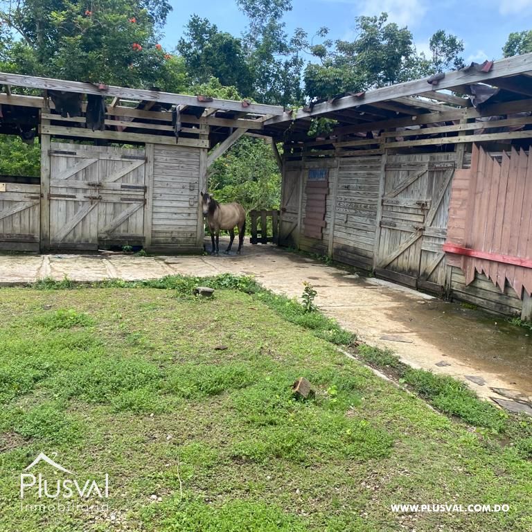 Terreno en Venta en Las Terrenas - Samaná | 190,930 m² Naturaleza y Altitud 313396