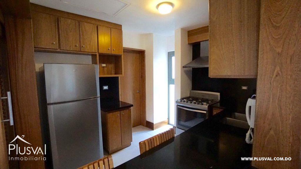 Apartamento en alquiler completamente amueblado, Piantini 199431