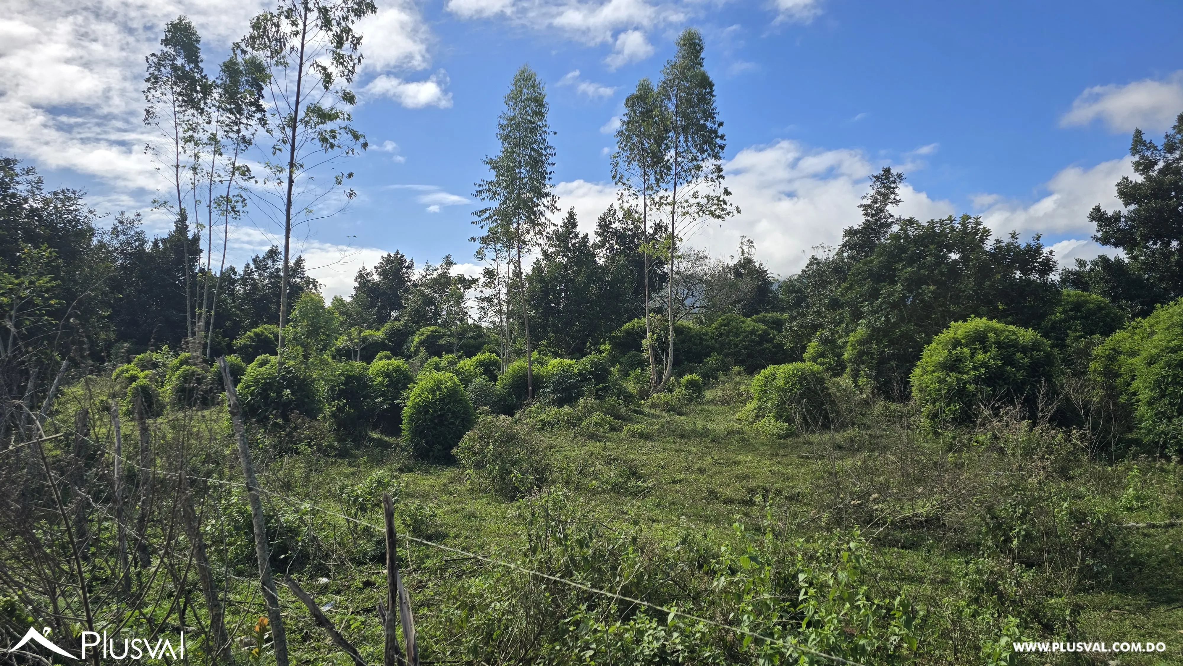 Buscas Solar para construir y cultivar a tan solo 25 minutos de la ciudad, este solar puede ser tuyo 485598