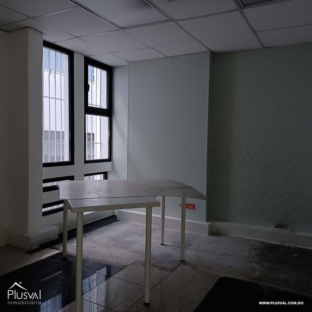 Local Comercial en alquiler en Naco 206278