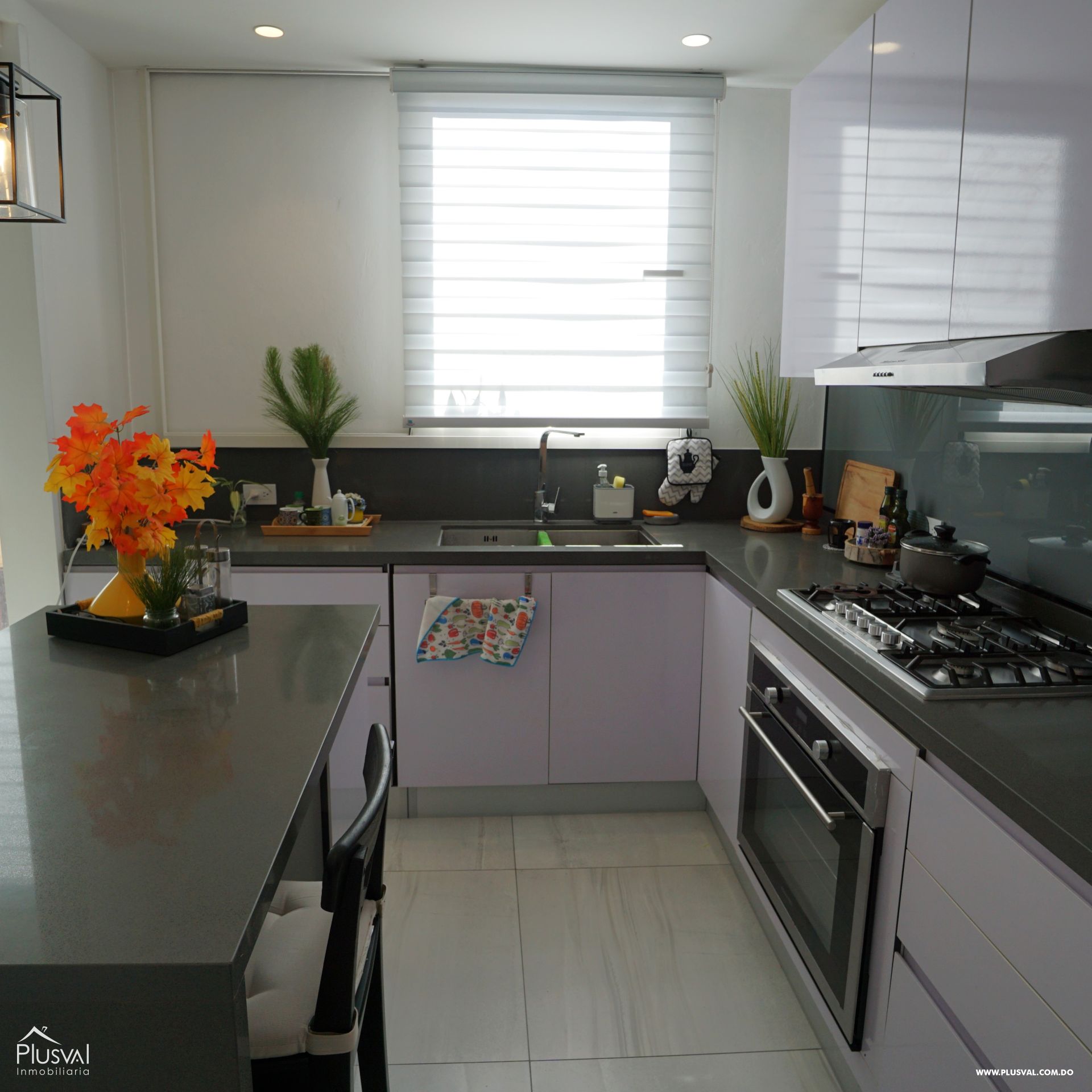 Apartamento en venta en Evaristo Morales 470529