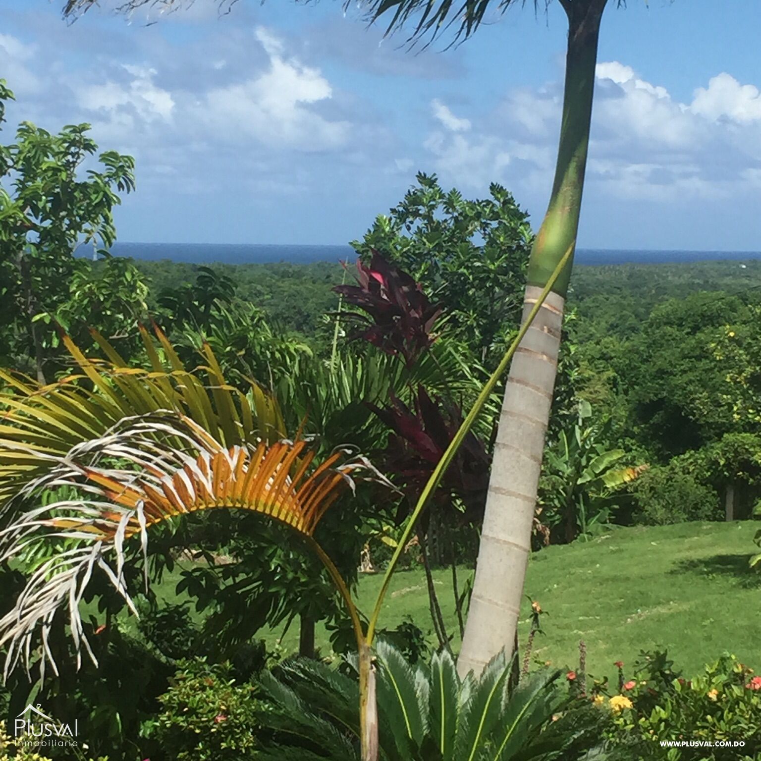 Venta de solar Las Galeras 307799