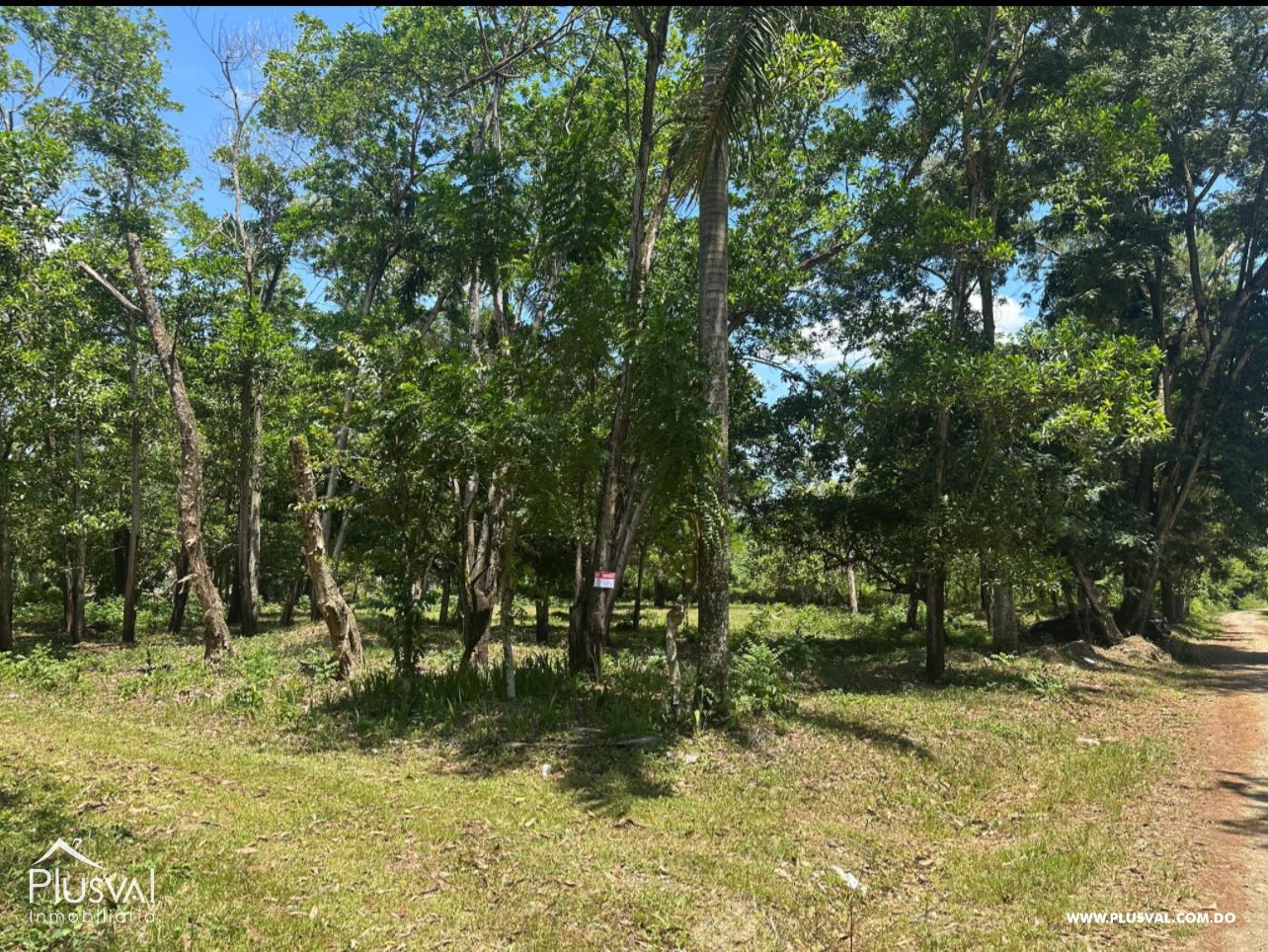 Solar de 4,551 m² en Vacacional La Isabela, en Pedro Brand 470078