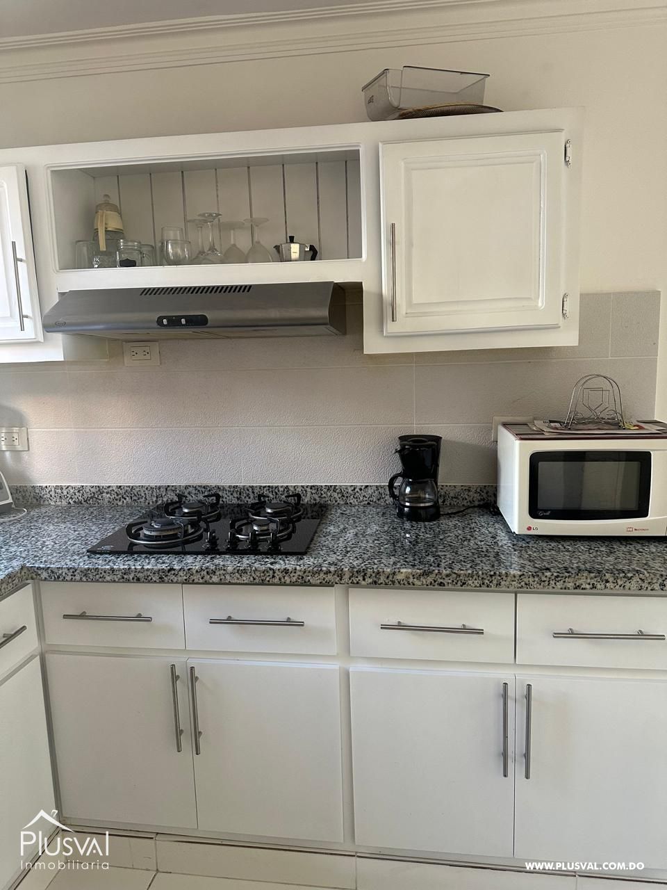 Apartamento en Alquiler Amueblado en Villa Olga 489611