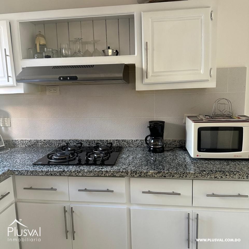 Apartamento en Alquiler Amueblado en Villa Olga 489611