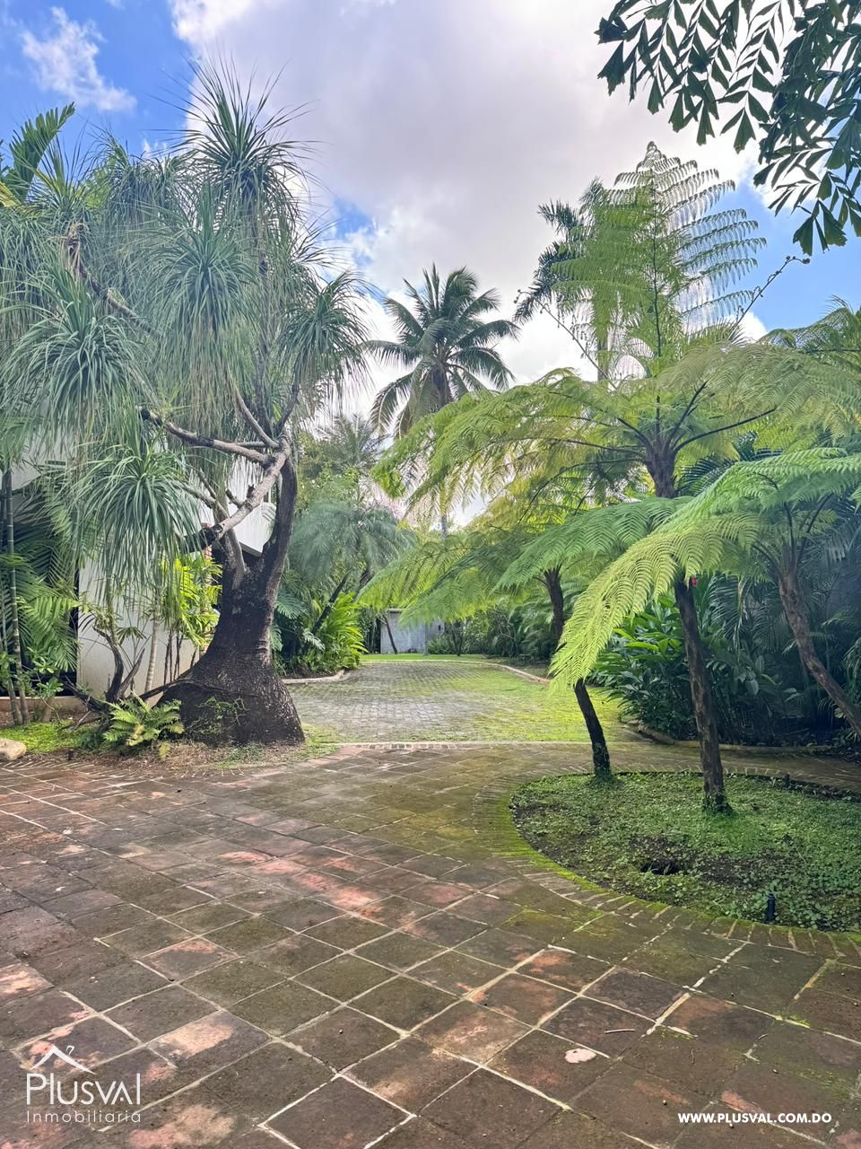 Casa en alquiler en Arroyo Hondo Viejo (Los Pinos) 485866