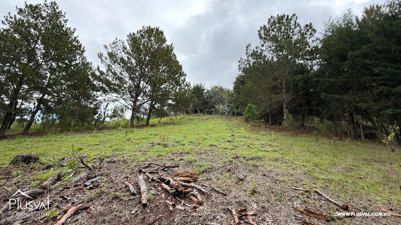Solar listo para proyecto con vista al Valle de Constanza 504328