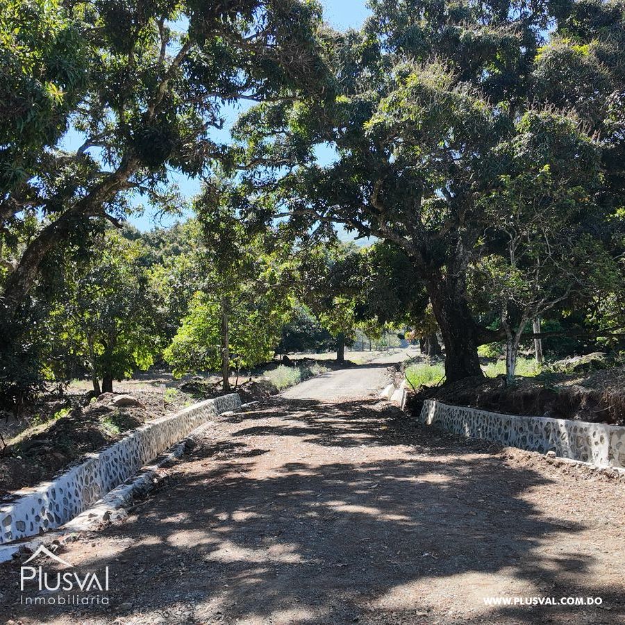 Proyecto de lotes con vista y mucha naturaleza en Jarabacoa 425306