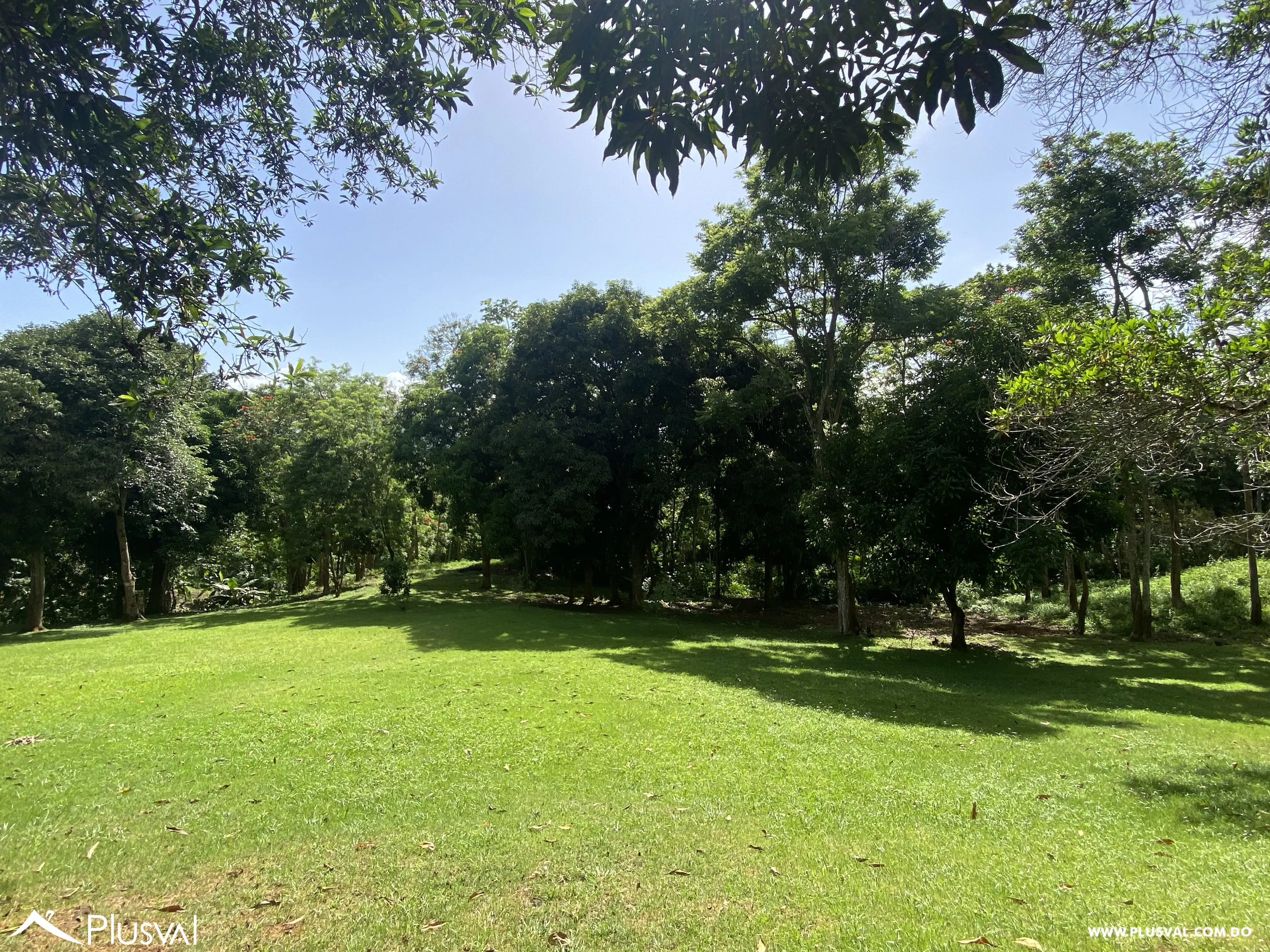 Finca de 106 tareas en Venta, Los Cocos | Pedro Brand 452067