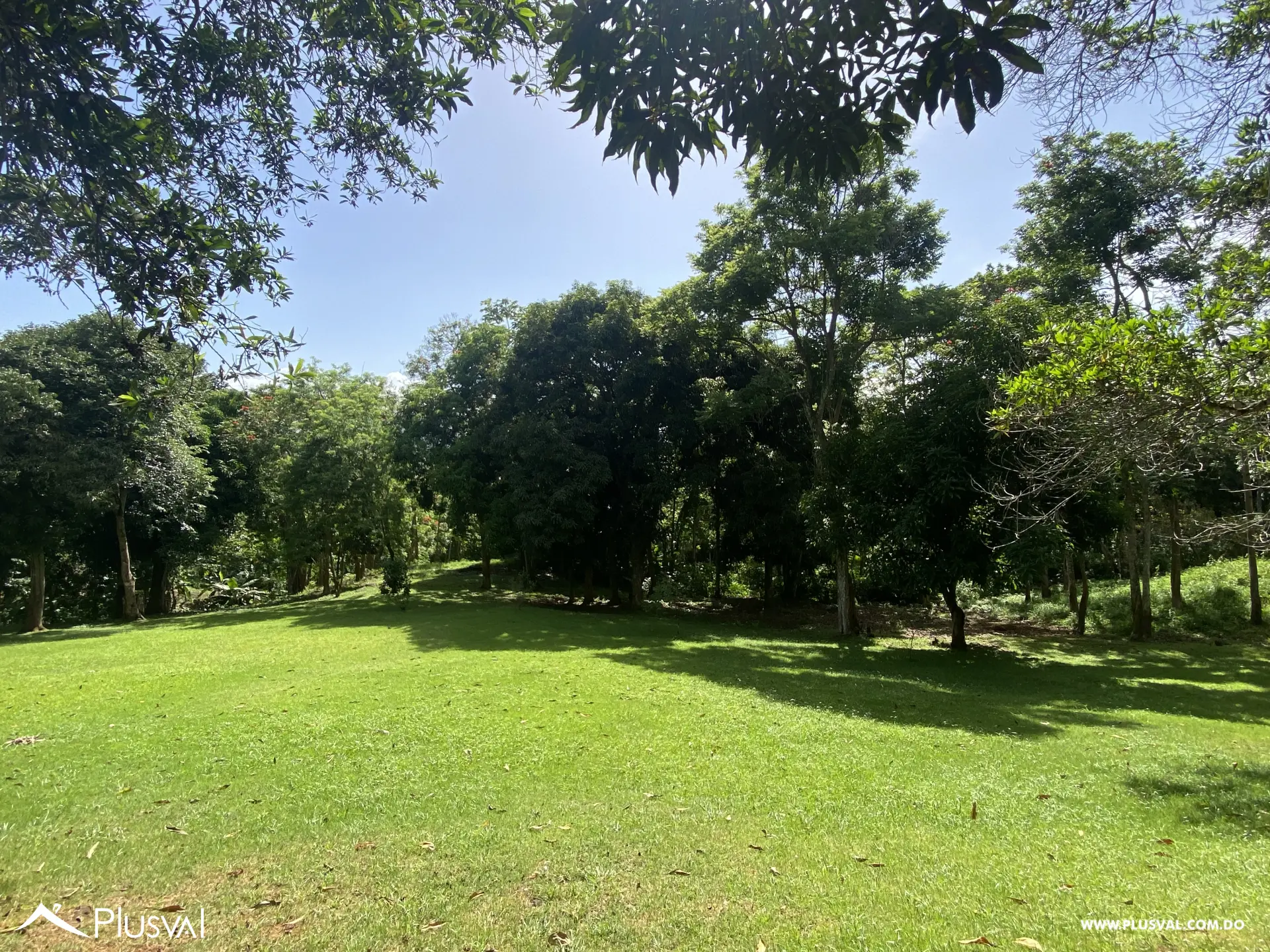 Finca de 106 tareas en Venta, Los Cocos | Pedro Brand 452067