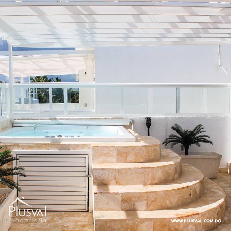 Hermoso Pent-House en Playa Nueva Romana 383394