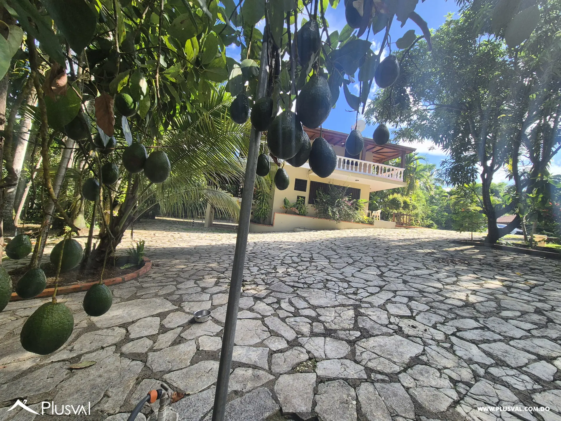 Finca en San Cristóbal 473324