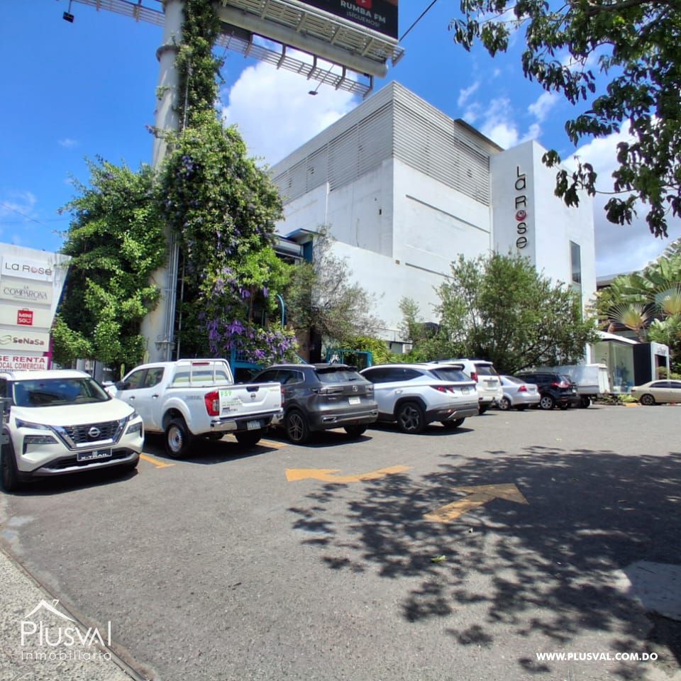 Locales Comerciales en Plaza La Rose 431994