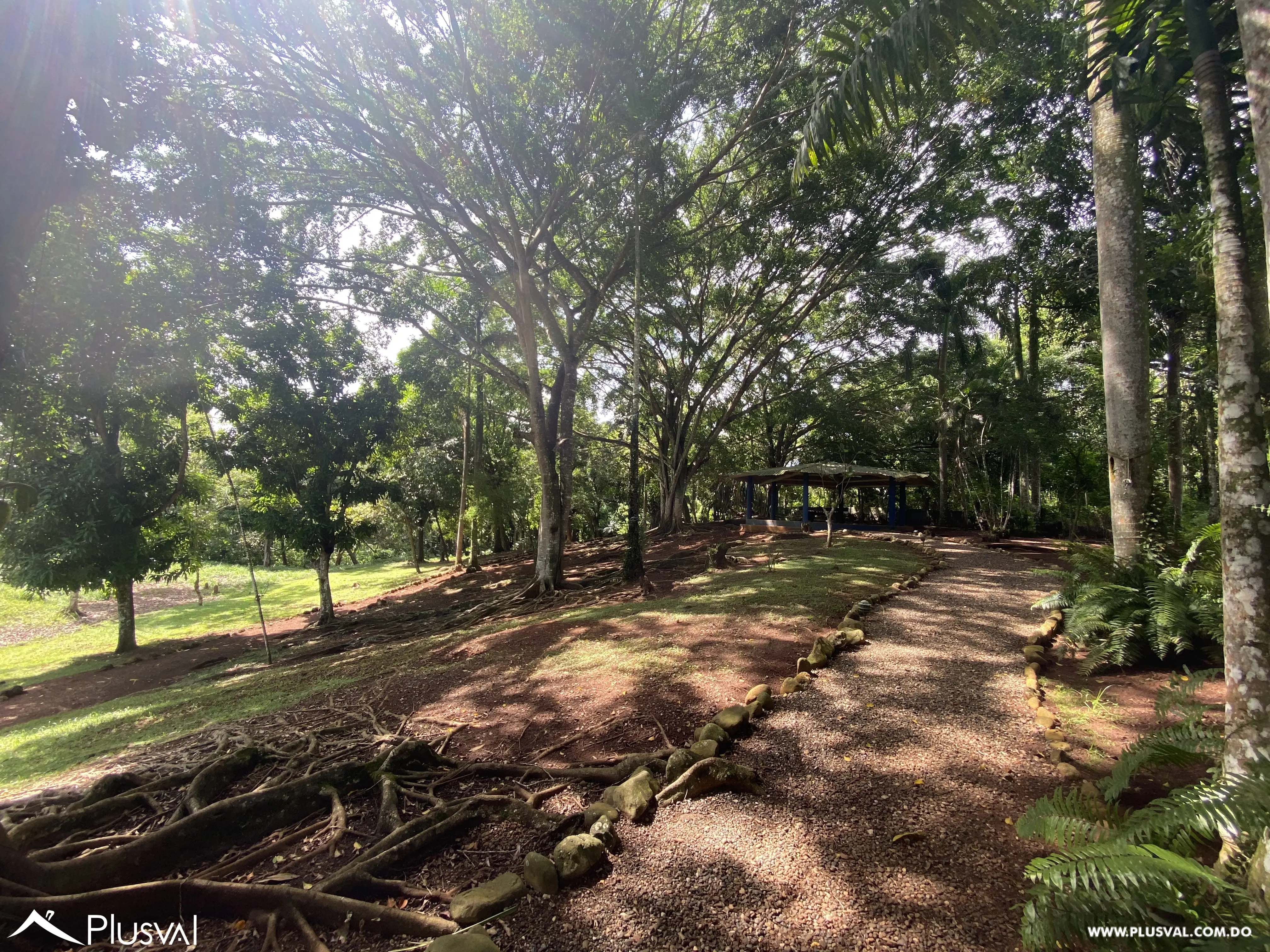 Finca de 106 tareas en Venta, Los Cocos | Pedro Brand 452041