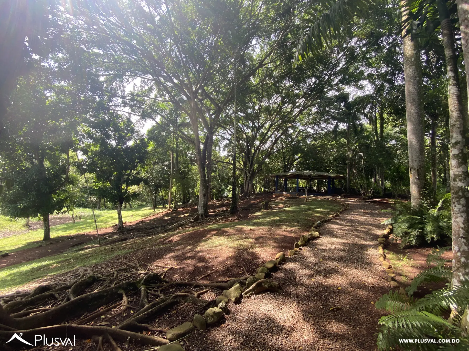 Finca de 106 tareas en Venta, Los Cocos | Pedro Brand 452041