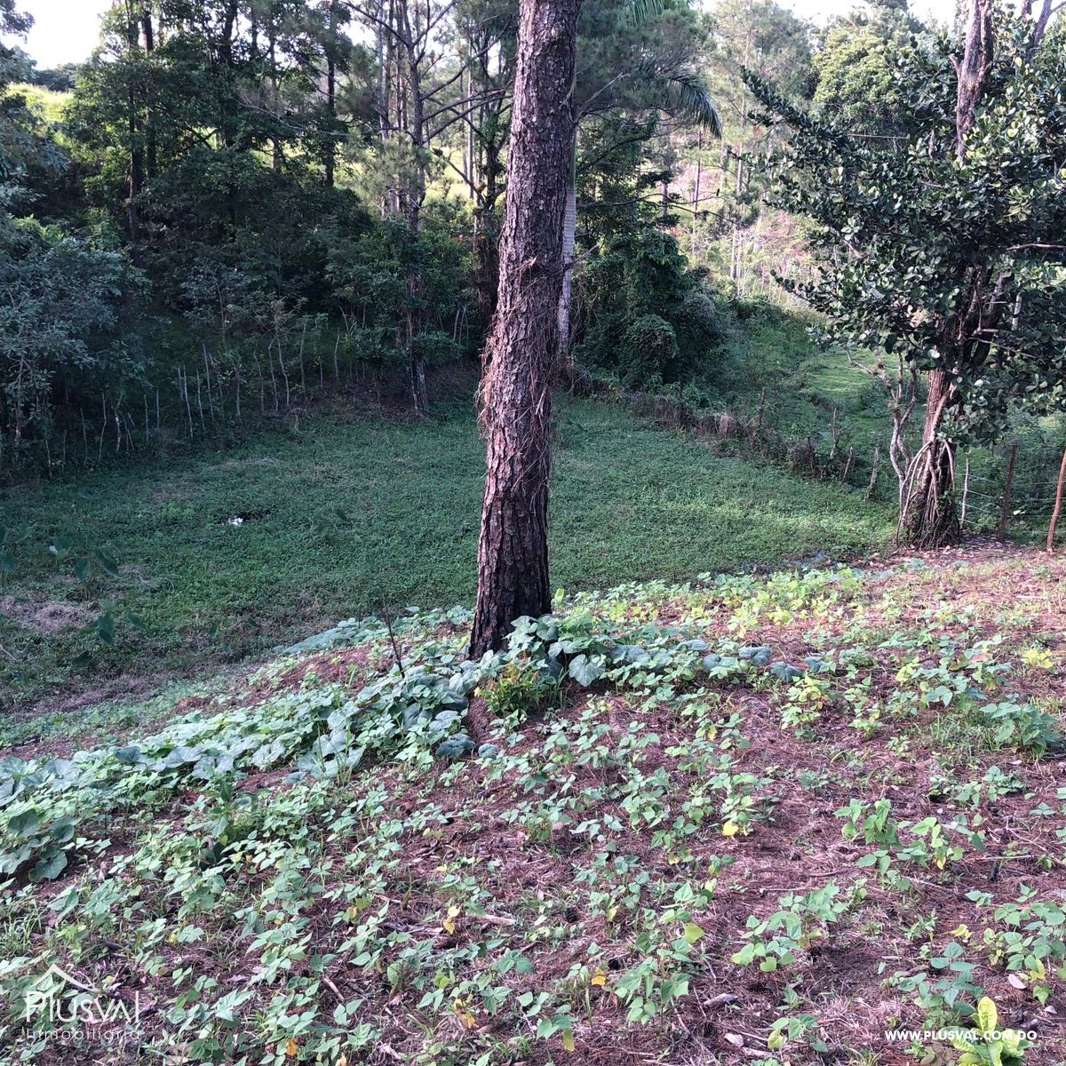 Solar con excelente ubicación en Jarabacoa 351920