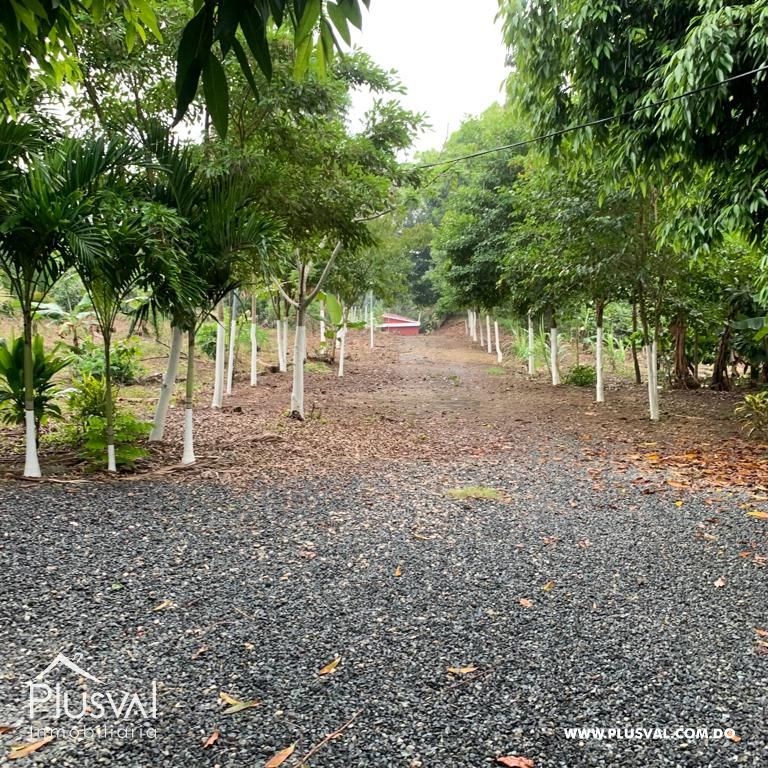 Venta de Terreno, en Villa Altagracia 197569