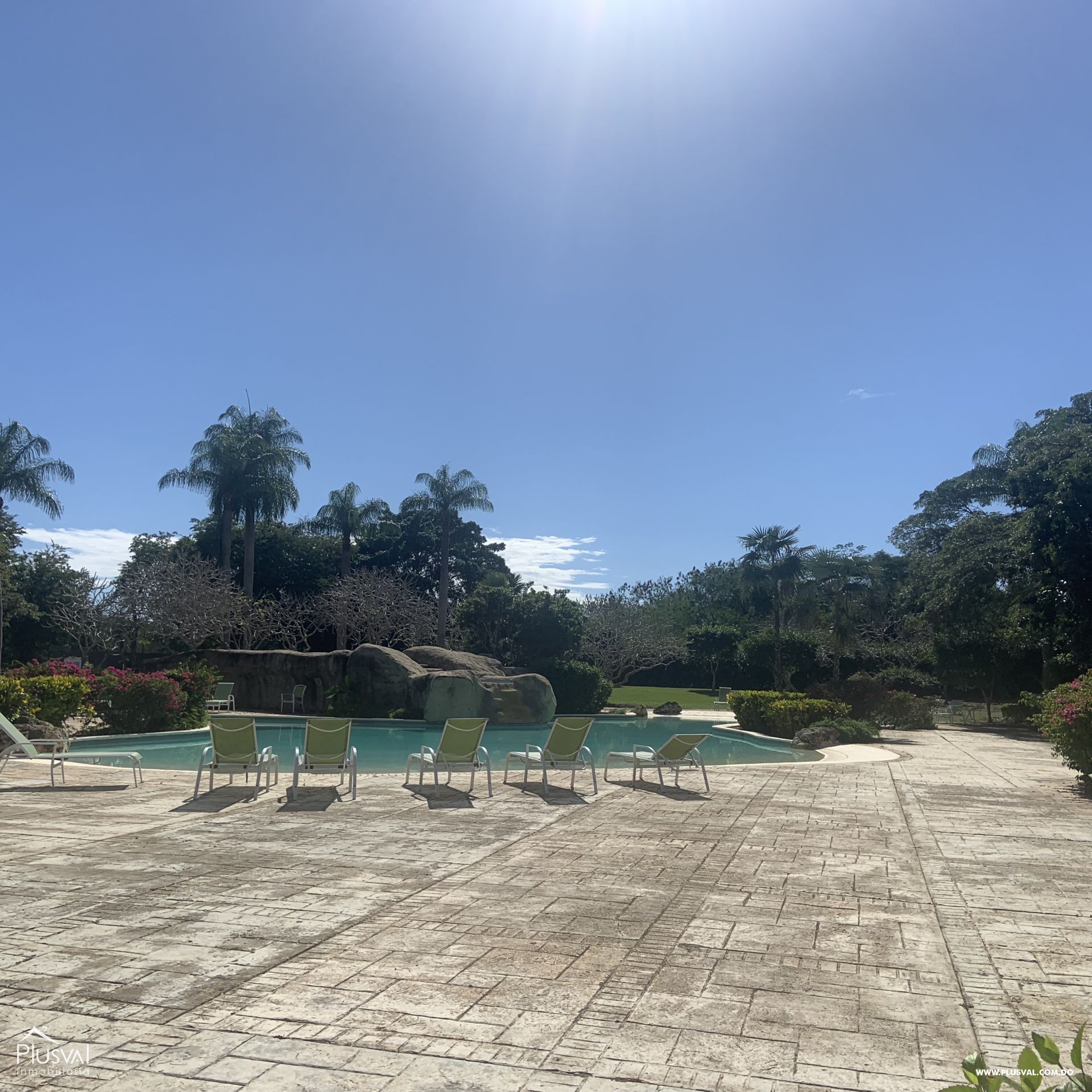 Solar en Guavaberry 222071