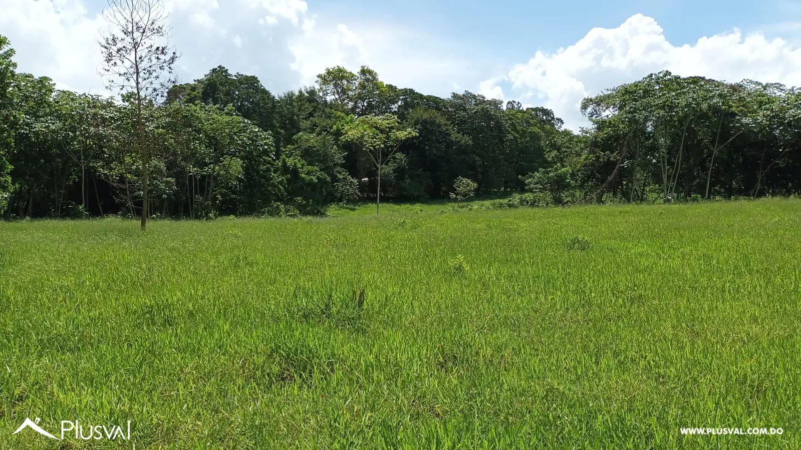 Finca a la venta en Piedra Blanca, Monseñor Nouel, carretera Yuboa 463547