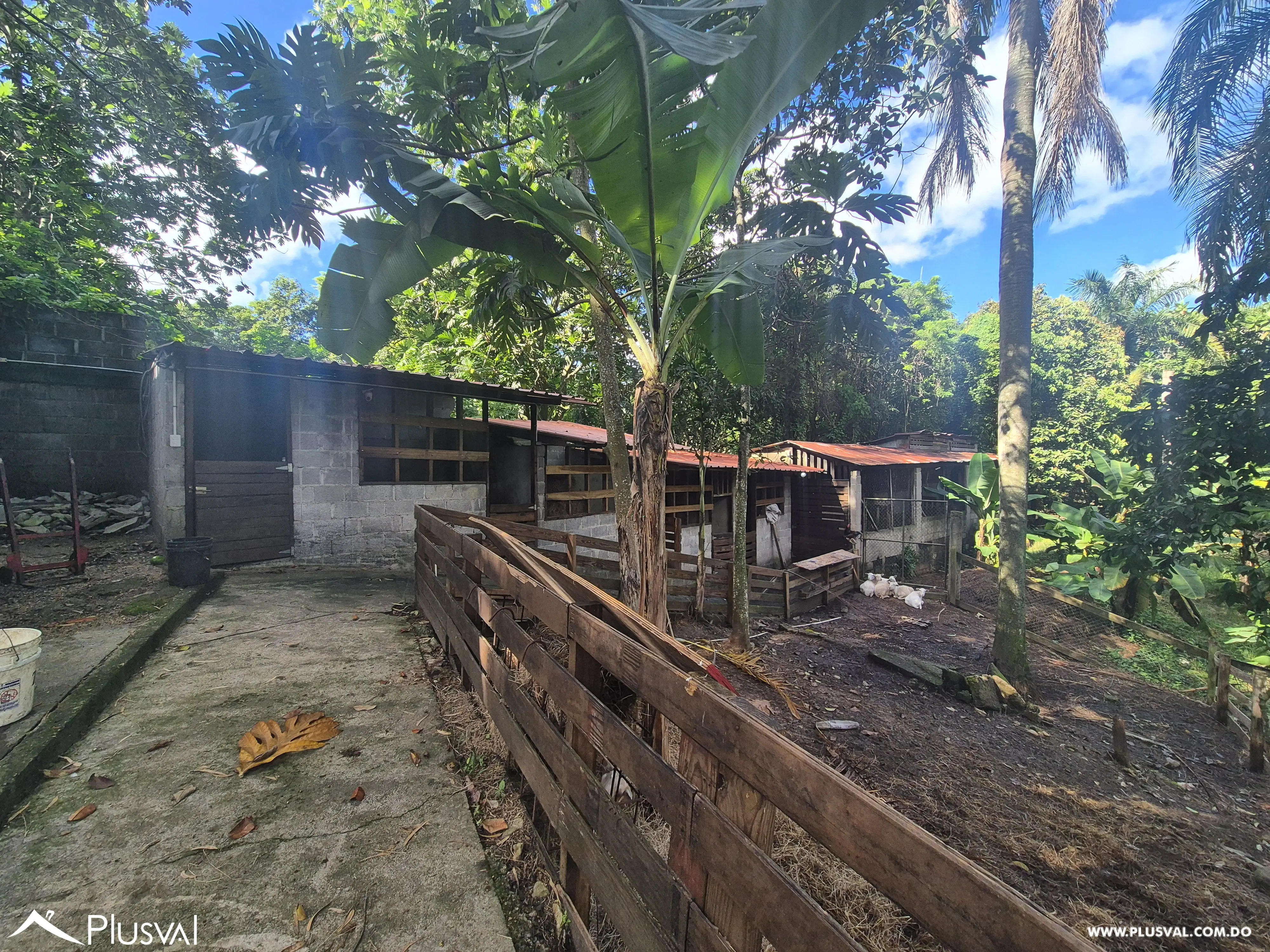 Finca en San Cristóbal 473329