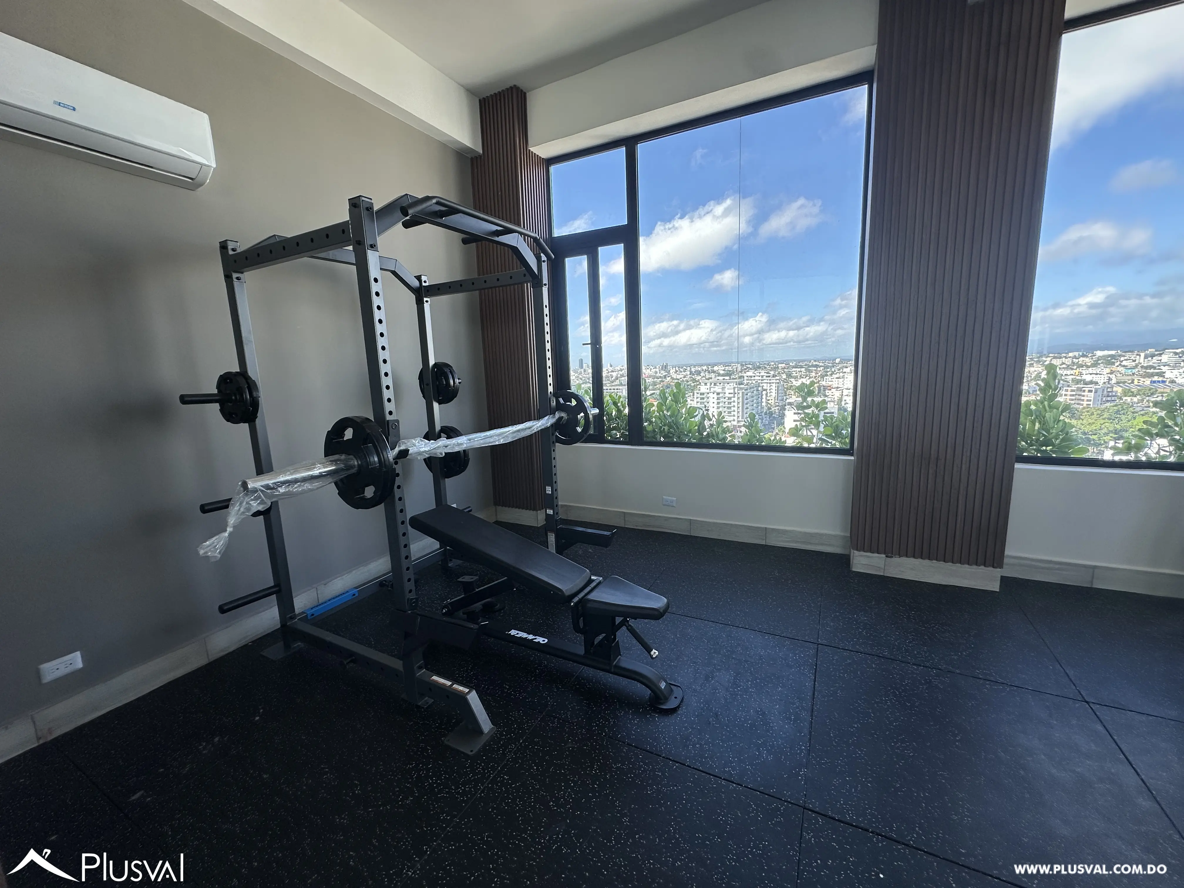 Apartamento de 1 habitación en alquiler en el sector de piantini 482831