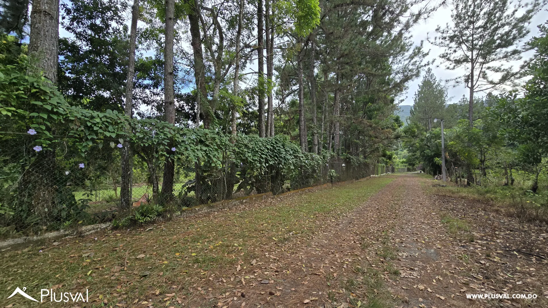 Buscas  contacto con la naturaleza para pasar tiempo en familia, cultivar tus propias hortalizas y frutos? 459890
