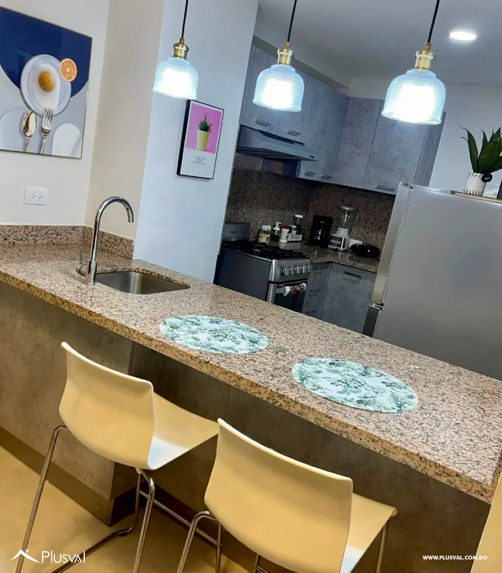 Apartamento Amueblado de 1 Hab en Alquiler 526036
