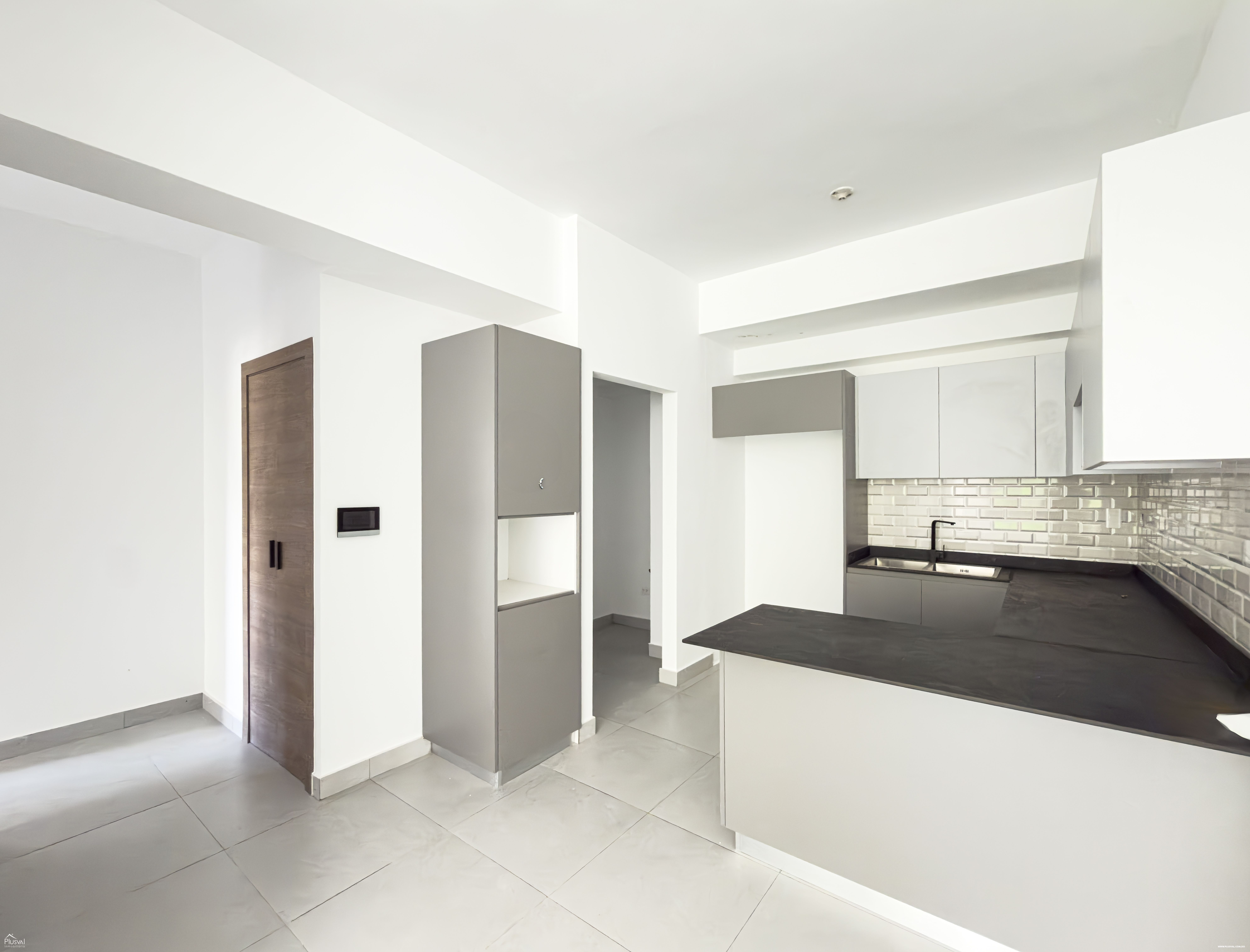 Apartamento en Alquiler en Naco 475100