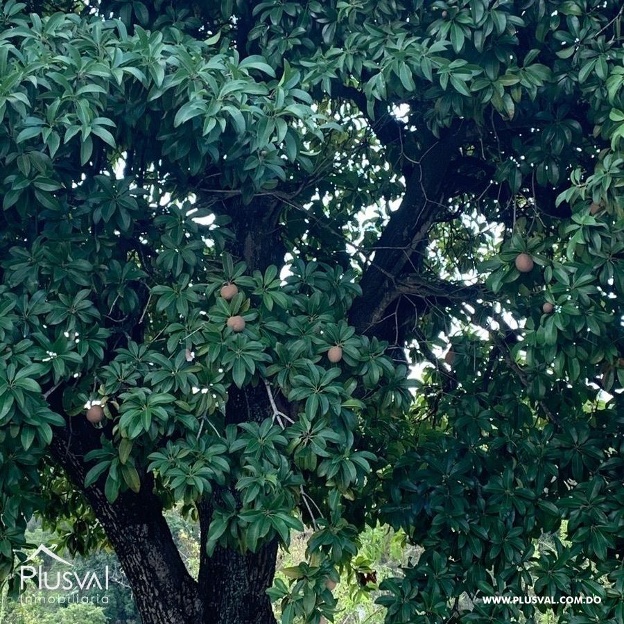 Finca de frutales en Yaguate, San Cristóbal 397864