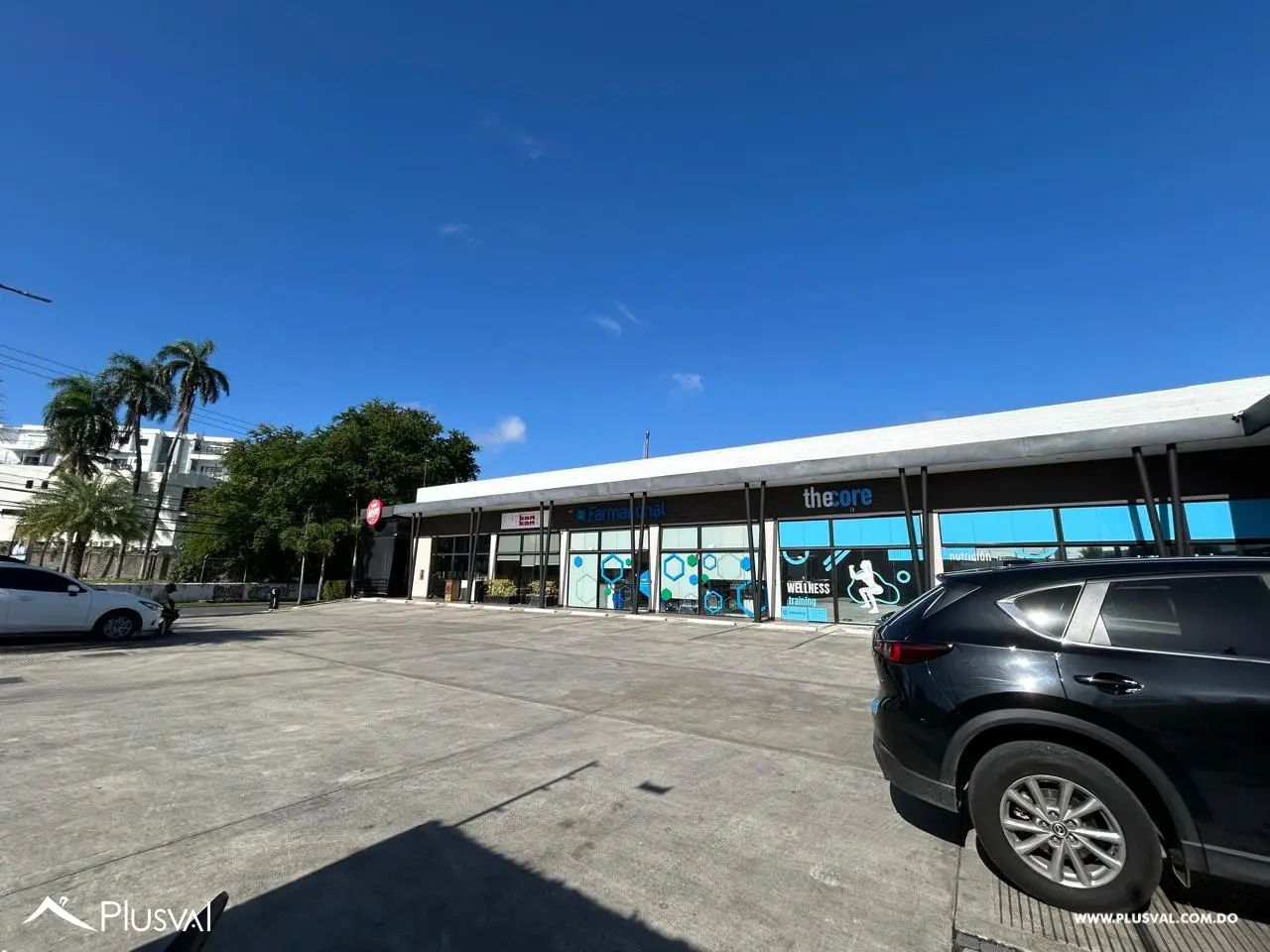 Local Comercial en Alquiler 483829