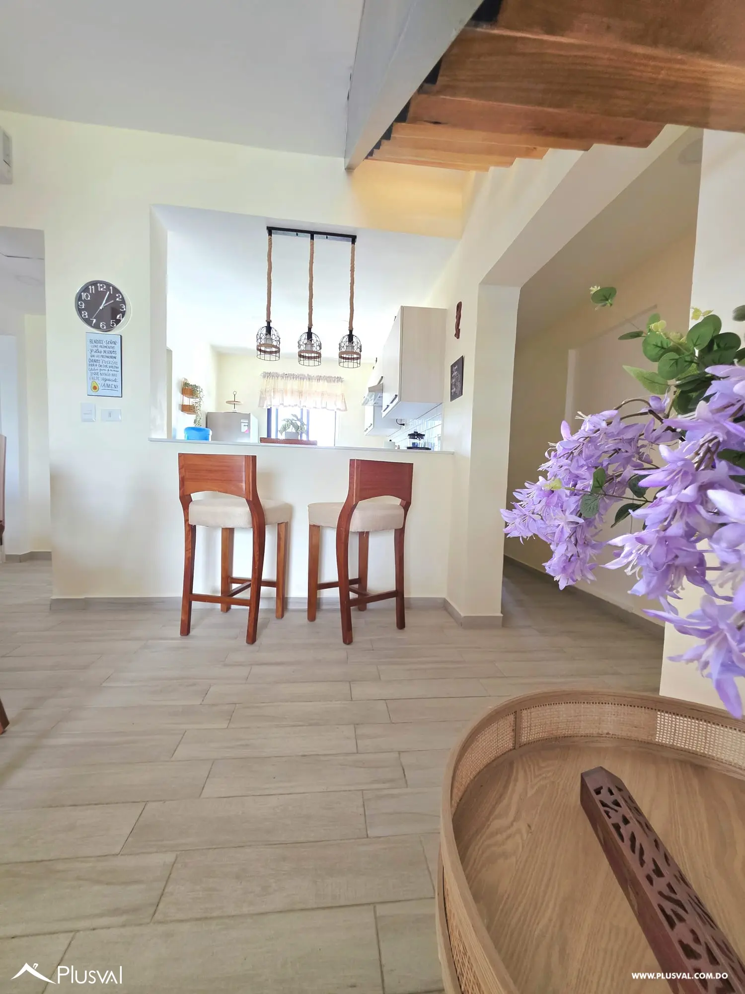 APARTAMENTO AMUEBLADO CON ROOFTOP 524745
