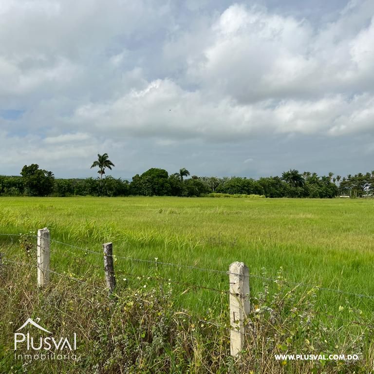 Hermosa finca en Palmar Villa Gonzáles 306405