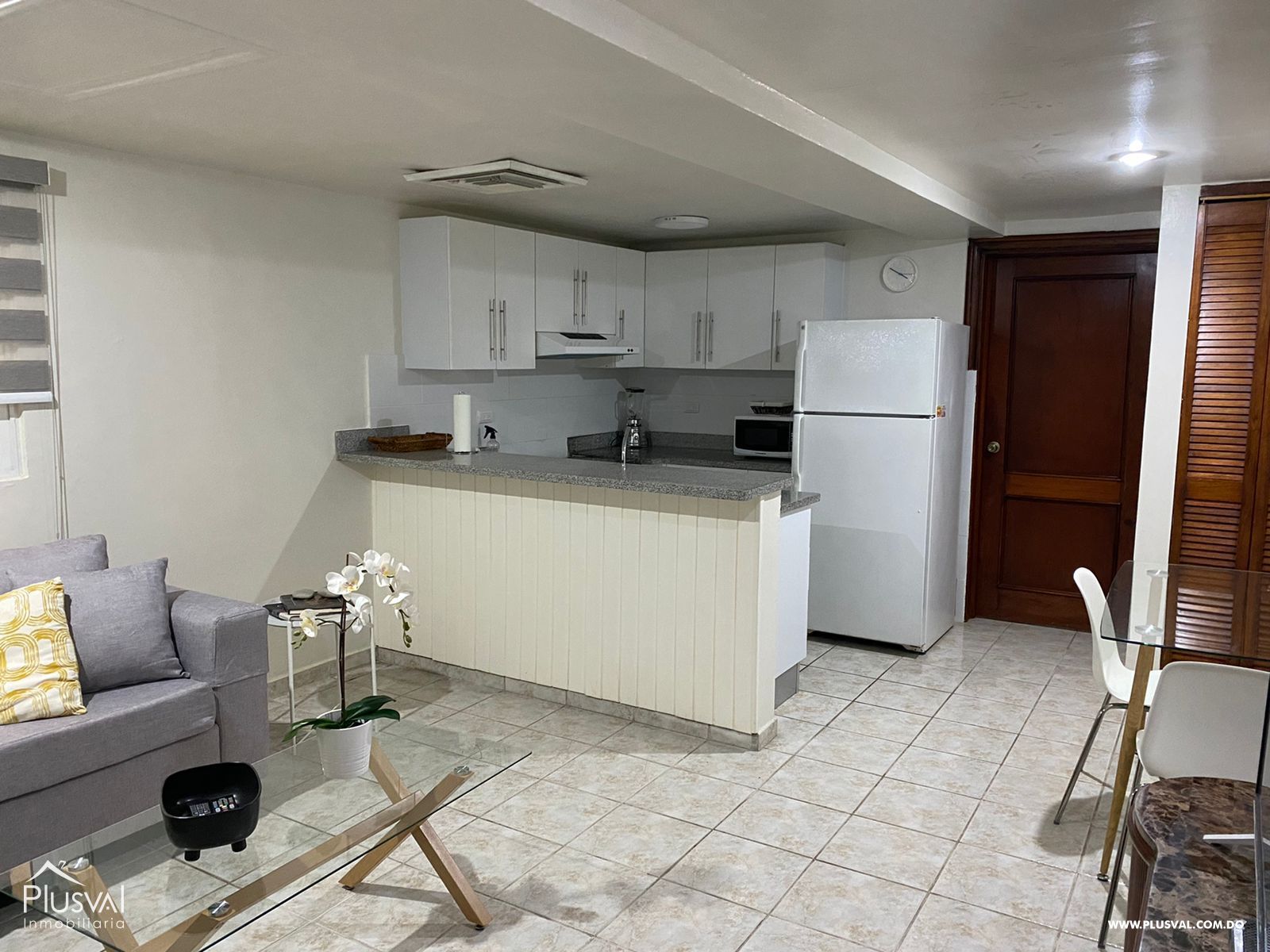 Apartamento en alquiler Amueblado, Naco 262467