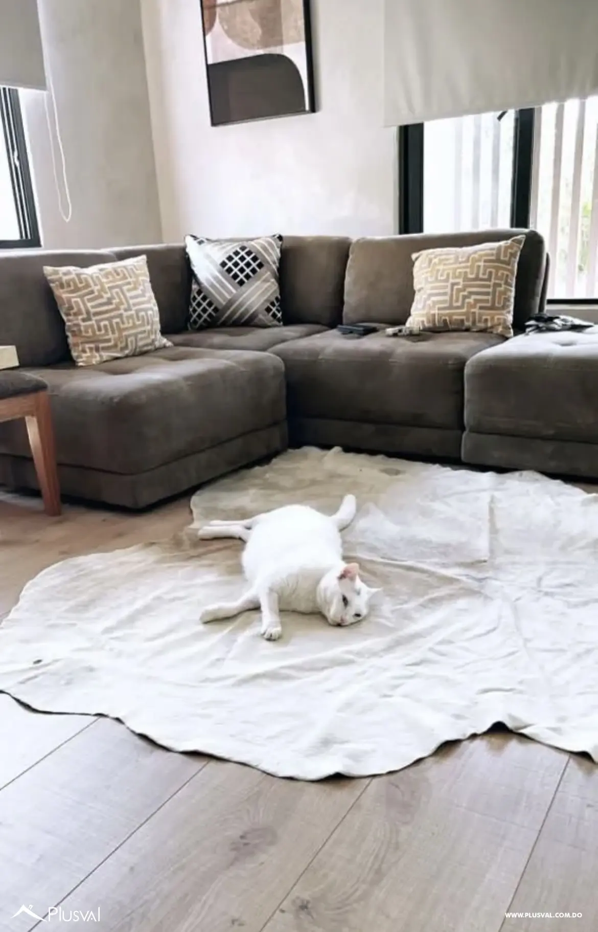 Hermosa casa en Bella Vista: comodidad, estilo y excelente ubicación 481576