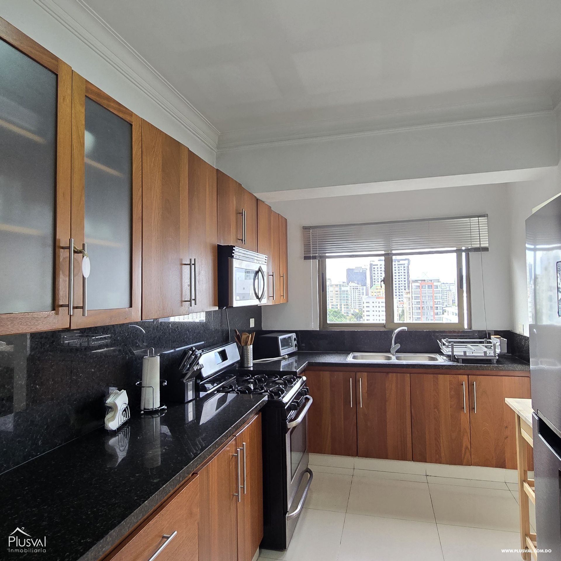 Apartamento AMUEBLADO en Venta, Piantini 445982