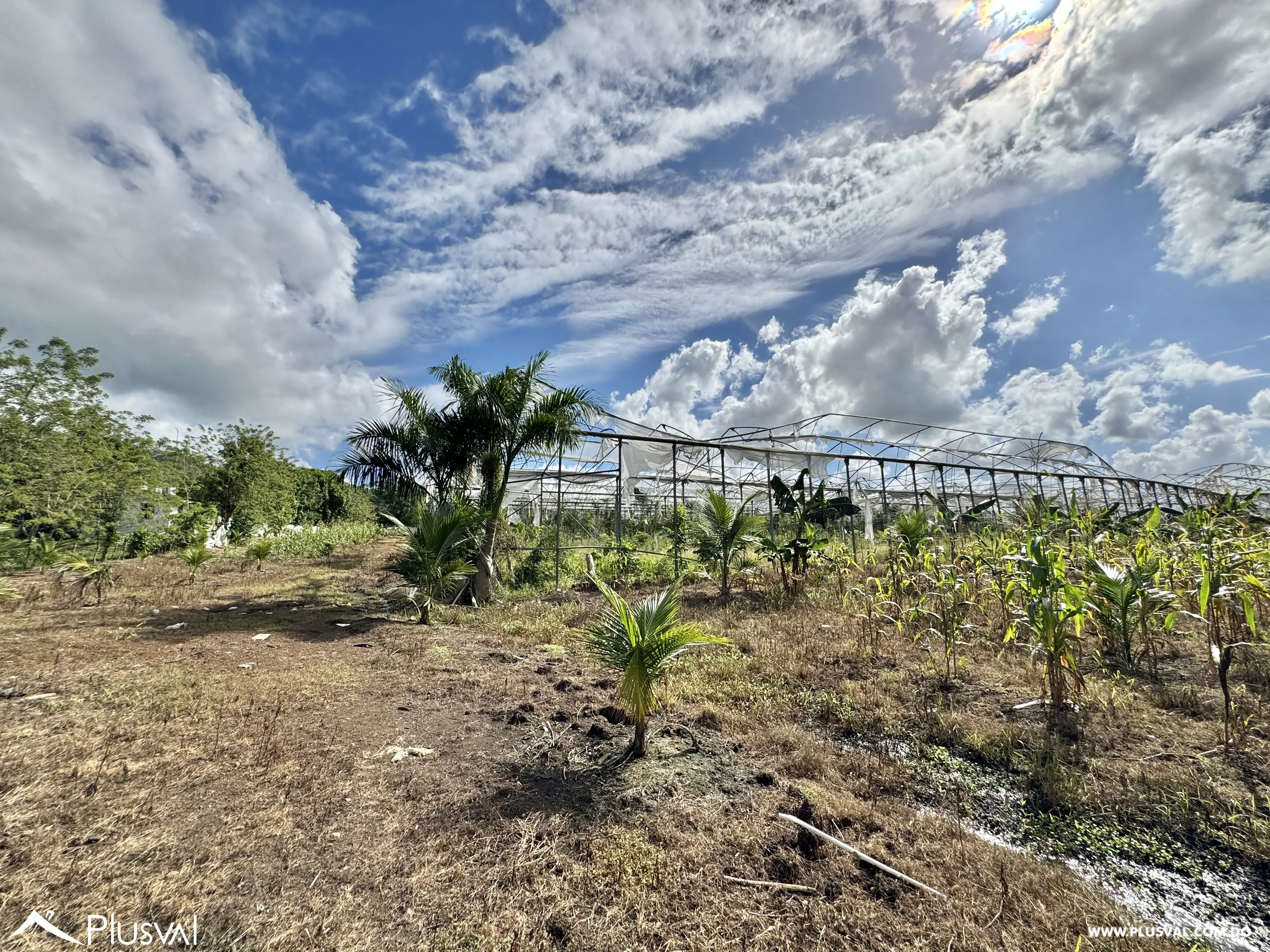 Vendo Maravillosa Finca con Importantes Mejoras en Pedro barnd 479784