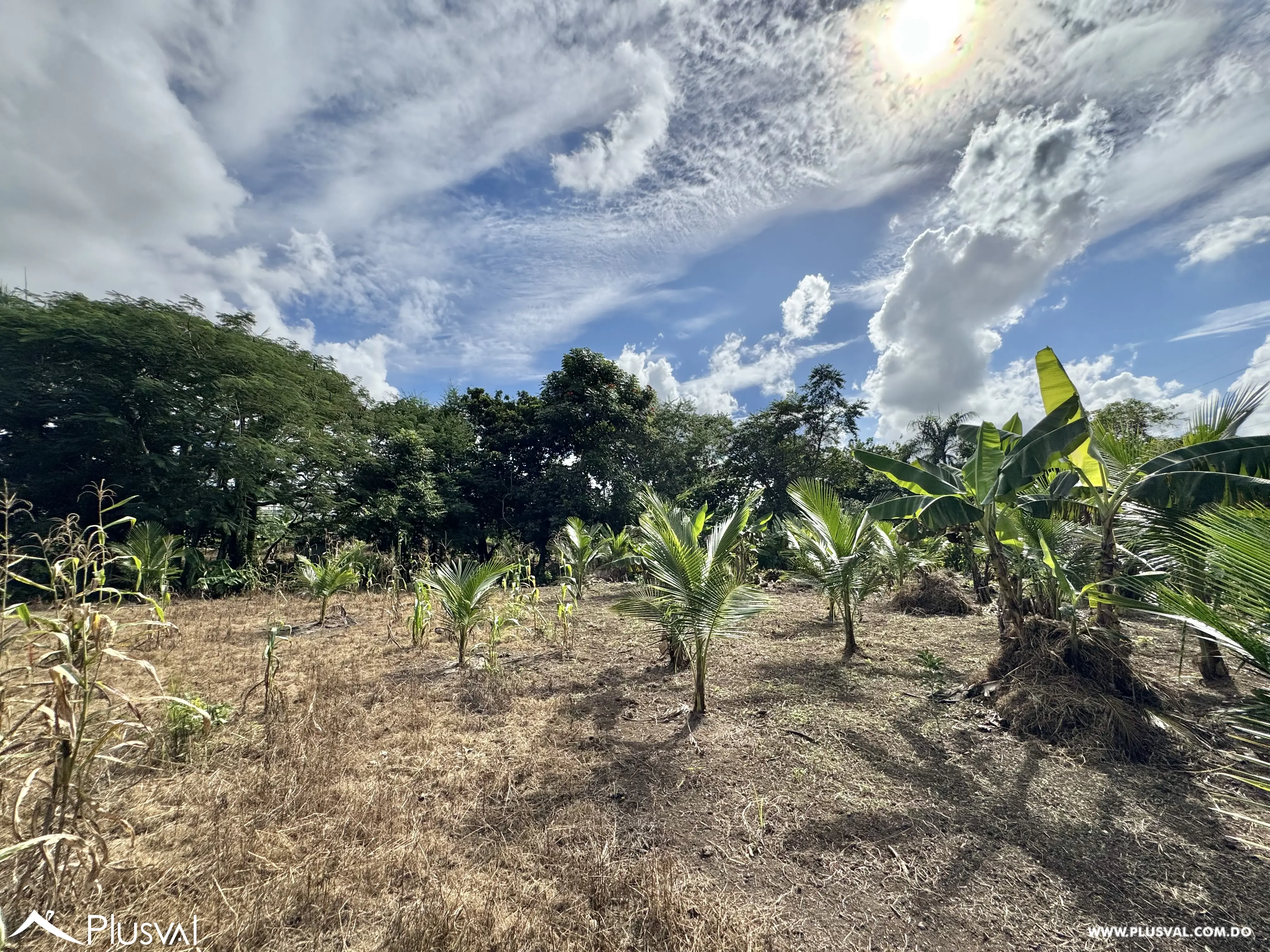 Vendo Maravillosa Finca con Importantes Mejoras en Pedro barnd 479780