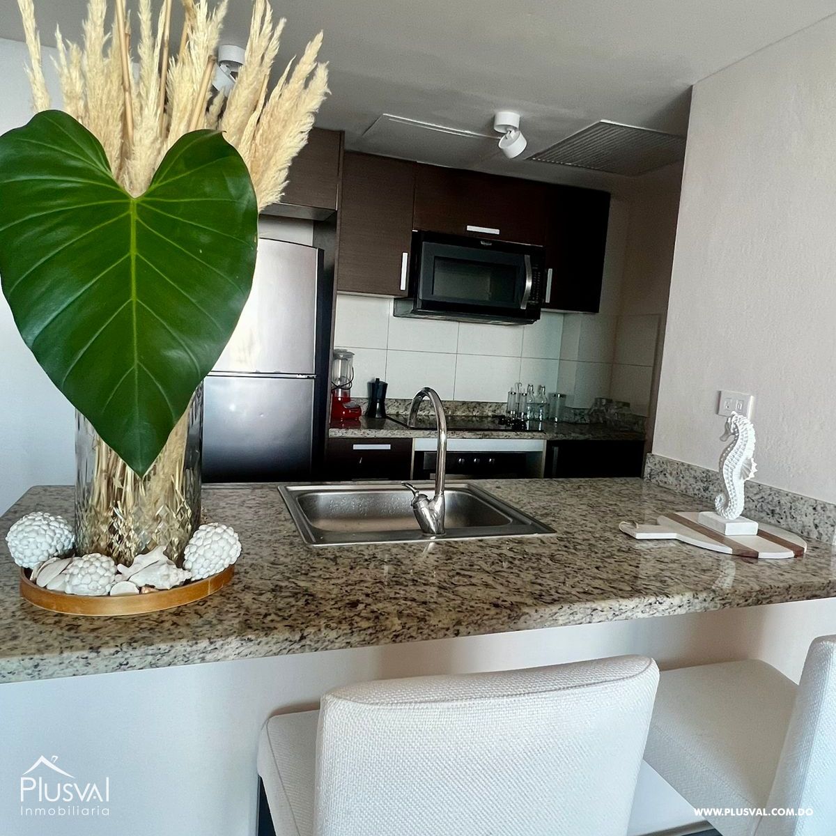 Apartamento Amueblado en Alquiler en primera línea de playa en Juan Dolio 323003
