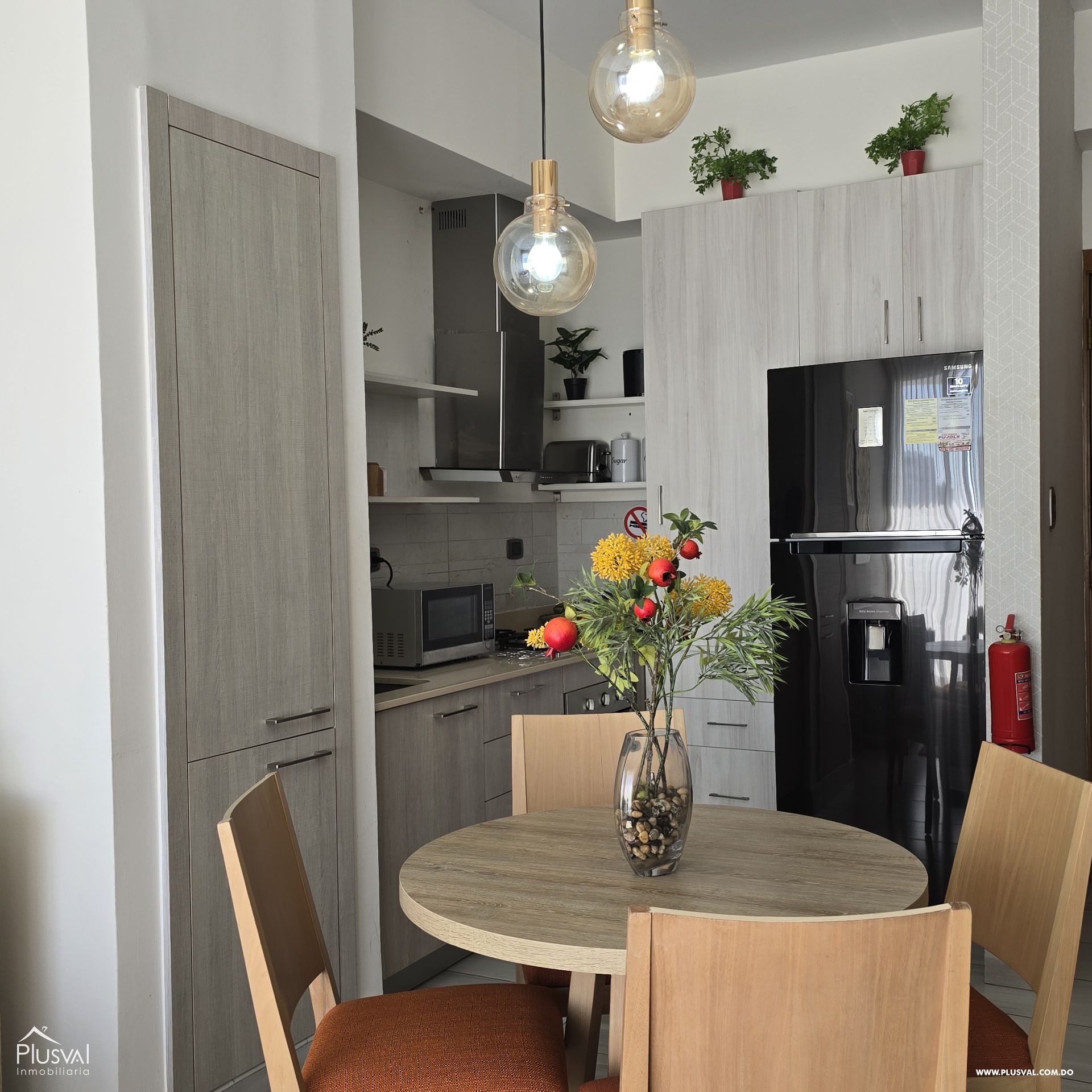 Apartamento amueblado en alquiler, Naco 400755