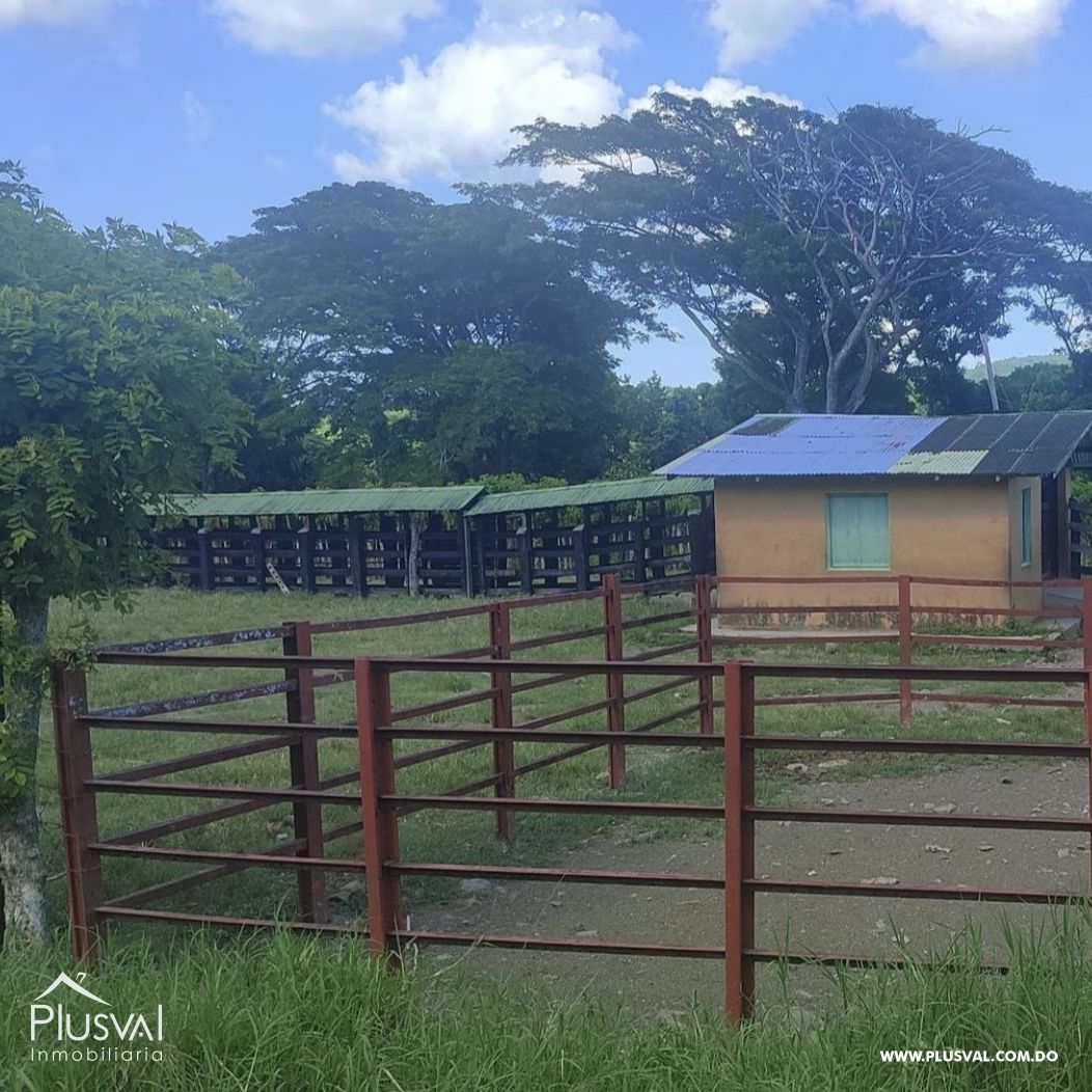 Finca de ganado y cacao en venta en Hato Mayor , Yerba Buena 416009