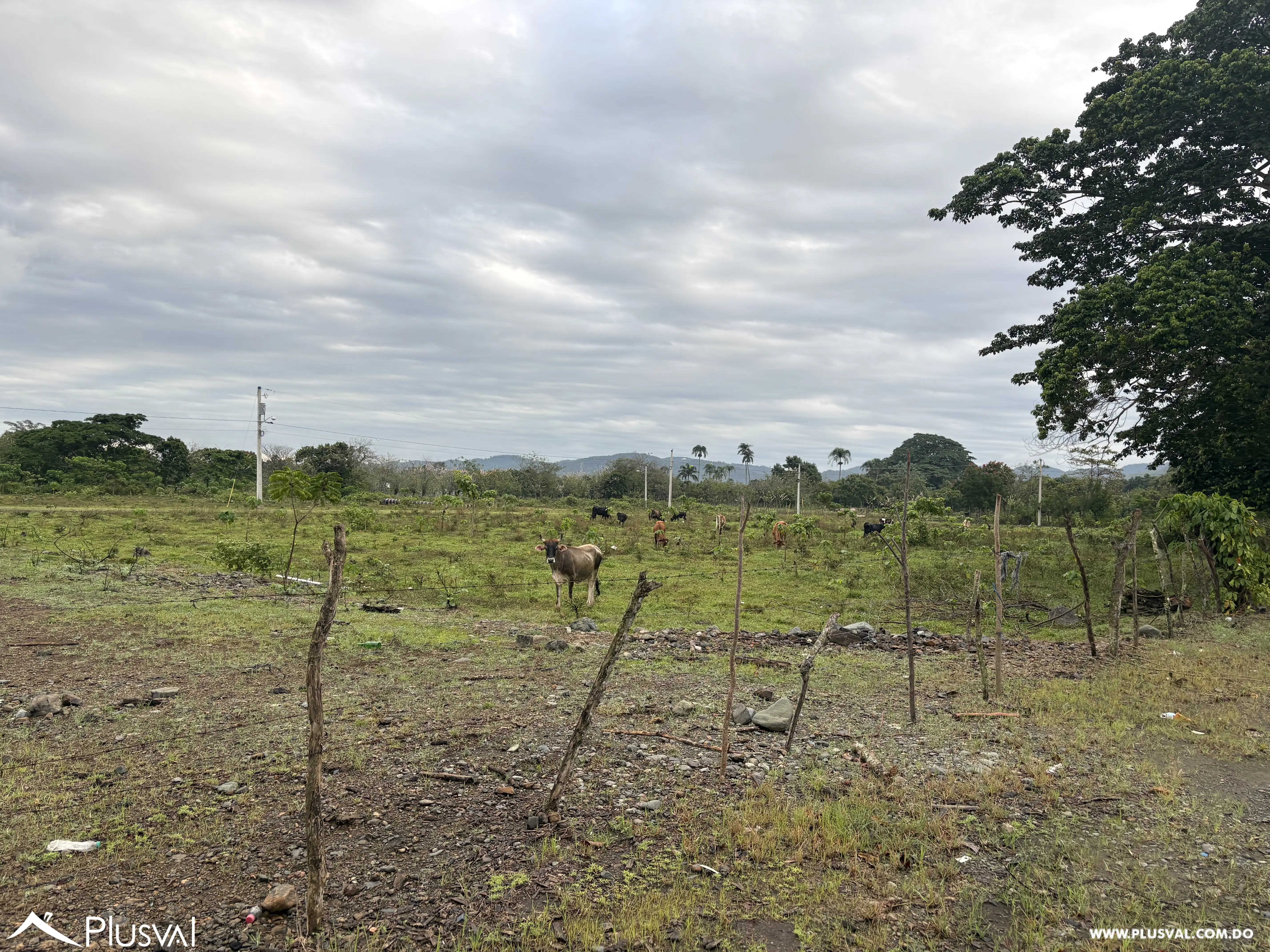Solar en zona estratégica de Bonao. 487070