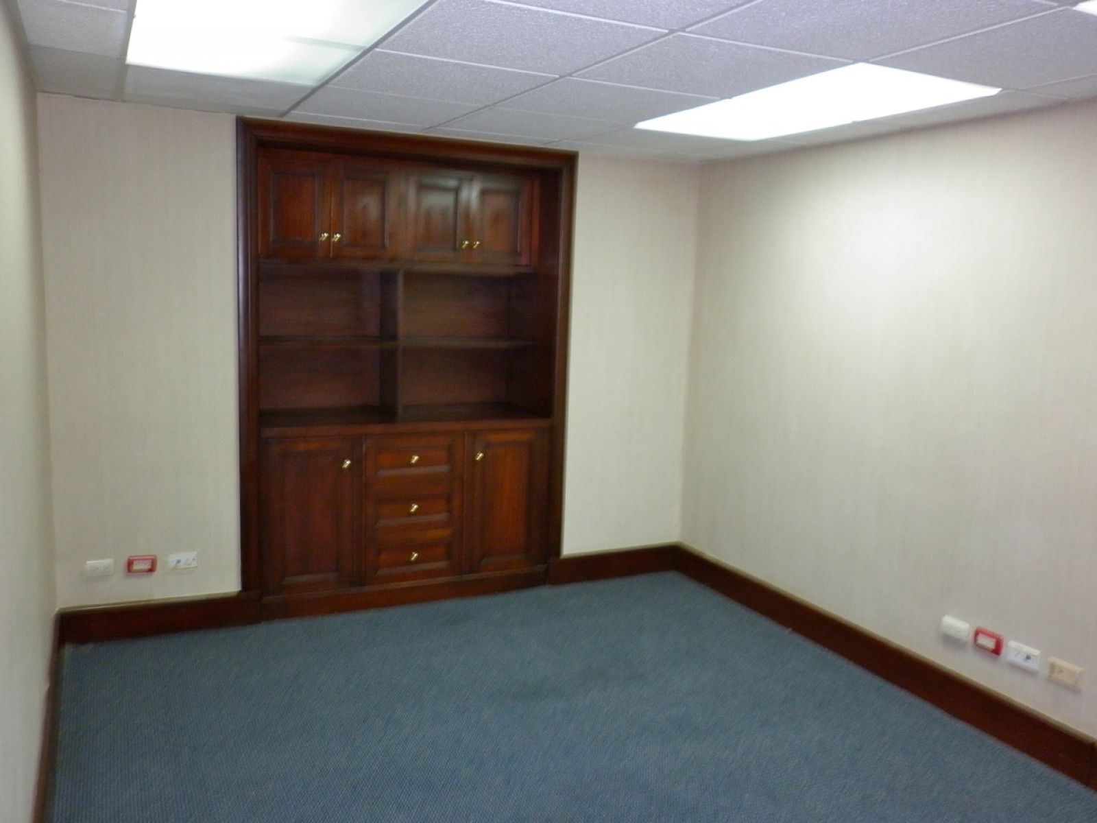 Local comercial en alquiler, Piantini. 16125