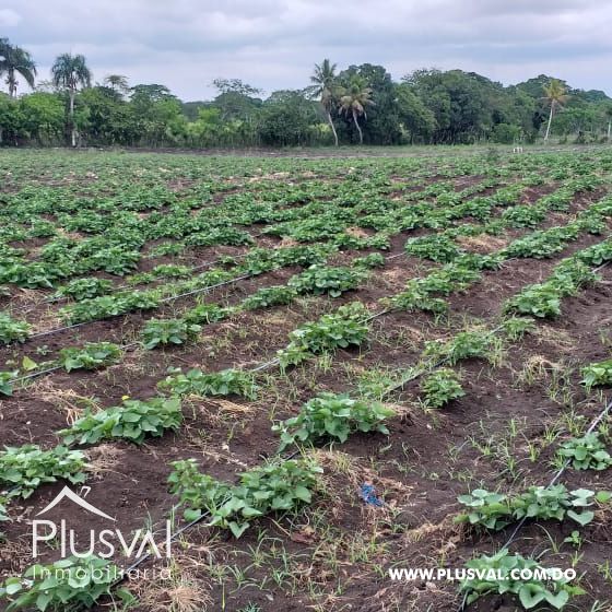 Extraordinaria Finca en Monte Plata 413831