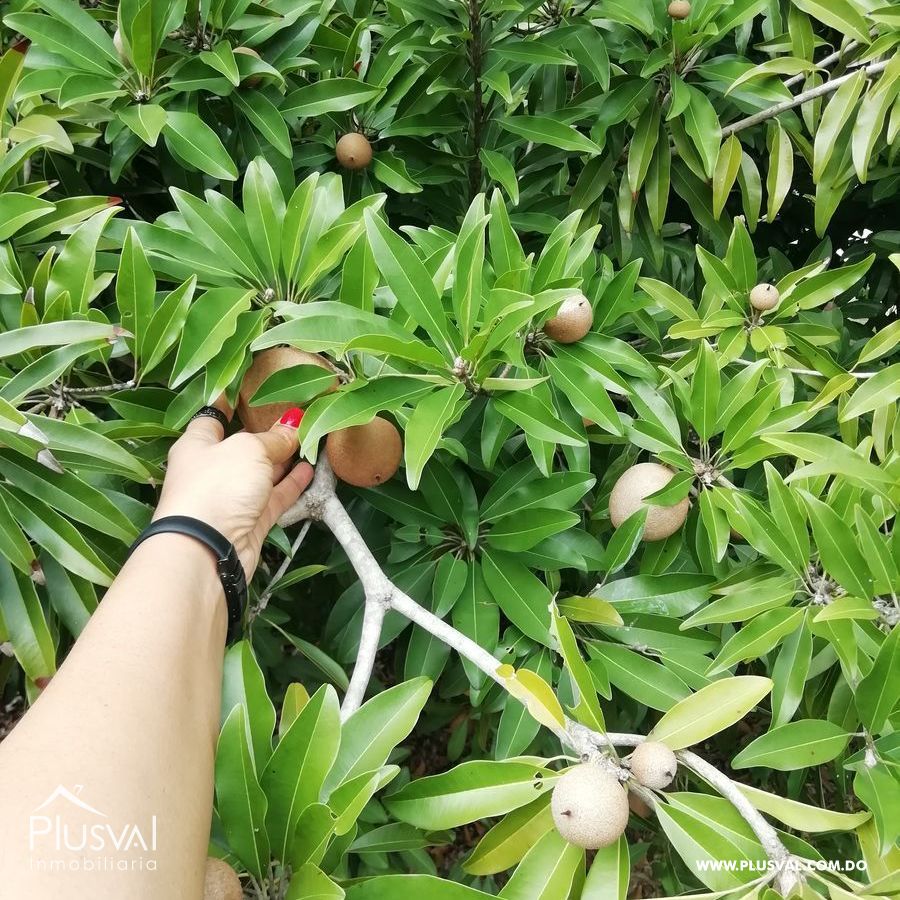 Finca de frutales en Yaguate, San Cristóbal 397859