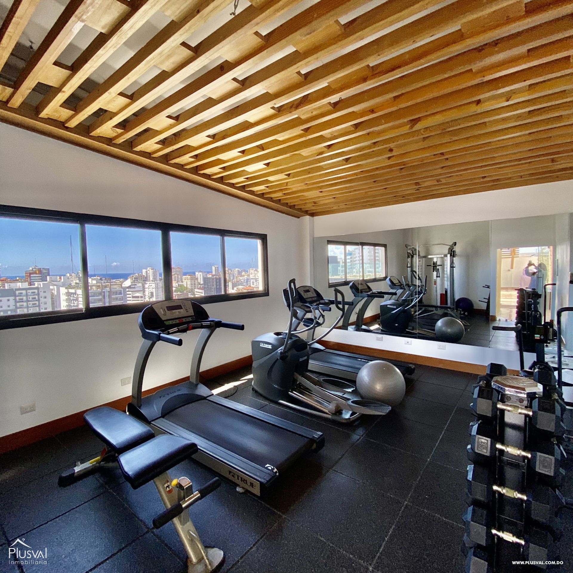 Apartamento en venta en Naco, piso 10 273227
