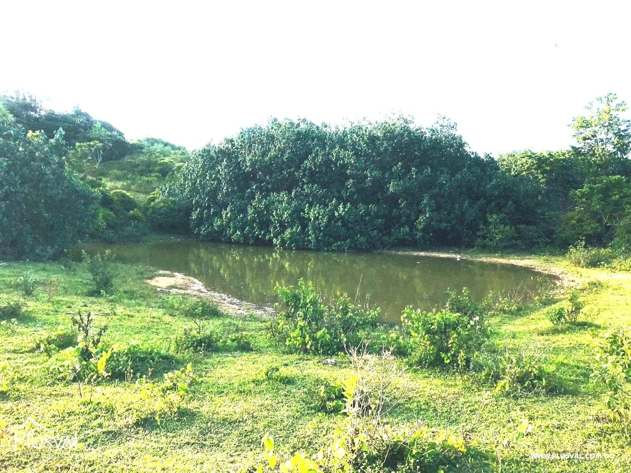 Finca en venta en Las Terrenas, inversión ideal en el paraíso 450779
